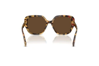 Bagside Dolce & Gabbana DG4569 (512/73)