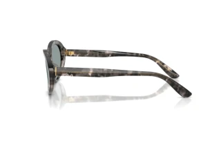 Sidevisning Dolce & Gabbana DG4570 (3172/1)
