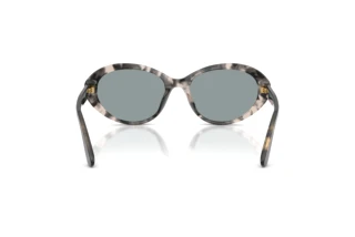 Bagside Dolce & Gabbana DG4570 (3172/1)