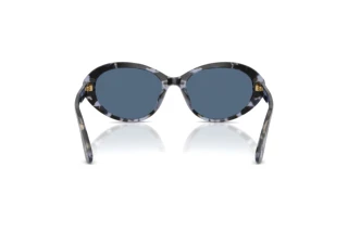 Bagside Dolce & Gabbana DG4570 (344380)