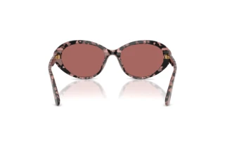 Bagside Dolce & Gabbana DG4570 (347669)