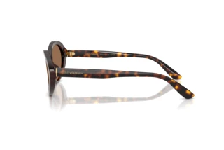 Sidevisning Dolce & Gabbana DG4570 (502/73)
