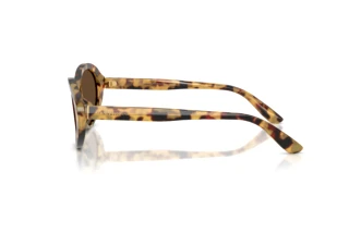 Sidevisning Dolce & Gabbana DG4570 (512/73)