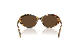 Bagside Dolce & Gabbana DG4570 (512/73)