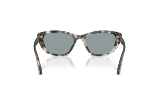 Bagside Dolce & Gabbana DG4571 (3172/1)