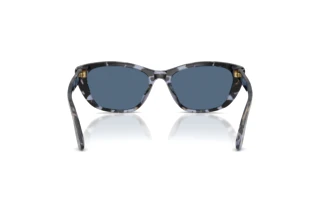 Bagside Dolce & Gabbana DG4571 (344380)