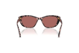 Bagside Dolce & Gabbana DG4571 (347669)