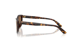 Sidevisning Dolce & Gabbana DG4571 (502/73)