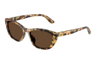 Forfra Dolce & Gabbana DG4571 (512/73)