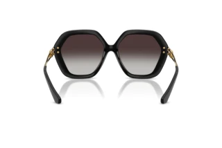 Bagside Dolce & Gabbana DG6210 (501/8G)