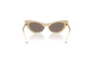 Bagside Dolce & Gabbana DX4008 (31035A)