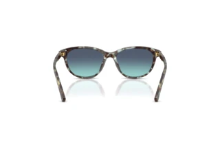 Bagside Dolce & Gabbana DX4010 (34434S)