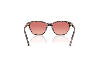 Bagside Dolce & Gabbana DX4010 (3476A5)