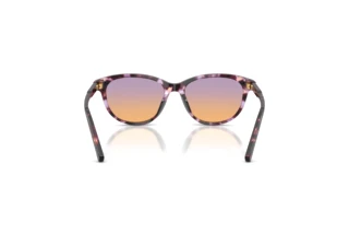 Bagside Dolce & Gabbana DX4010 (3477EL)