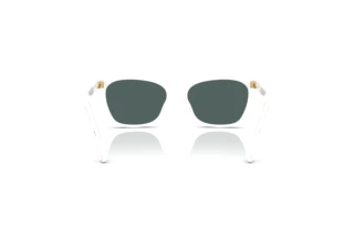 Bagside Dolce & Gabbana DX4427 (34595R)