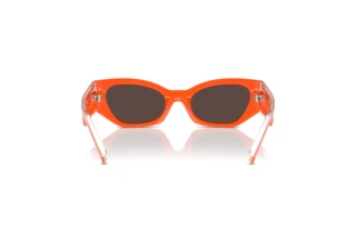 Bagside Dolce & Gabbana DX6003 (33386Q)