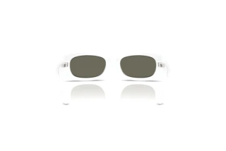 Bagside Dolce & Gabbana DX6006U (33127P)