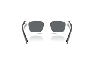 Bagside Dolce & Gabbana DX6011 (34576G)