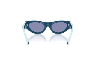 Bagside Dolce & Gabbana DX6012 (30151U)