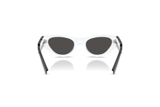 Bagside Dolce & Gabbana DX6012 (345787)