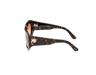 Sidevisning Emilio Pucci EP0241 (52F)