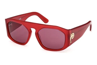 Forfra Emilio Pucci EP0242 (66S)