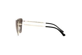 Sidevisning Emporio Armani EA2108 (301373)