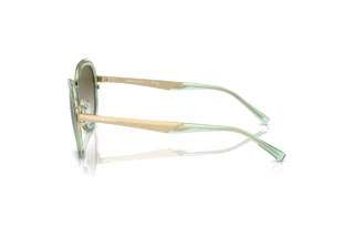 Sidevisning Emporio Armani EA2146 (33638E)