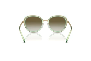 Bagside Emporio Armani EA2146 (33638E)