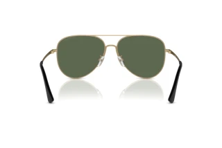 Bagside Emporio Armani EA2149D (300271)