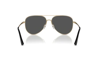 Bagside Emporio Armani EA2149D (337187)