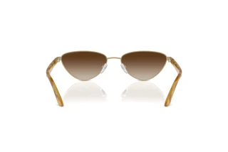 Bagside Emporio Armani EA2153 (301313)