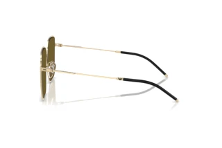 Sidevisning Emporio Armani EA2159D (301373)