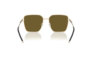 Bagside Emporio Armani EA2159D (301373)