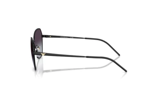 Sidevisning Emporio Armani EA2161 (30018G)