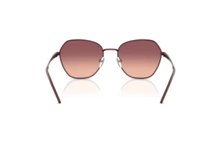 Bagside Emporio Armani EA2161 (34018D)