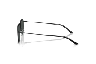 Sidevisning Emporio Armani EA2165D (300187)
