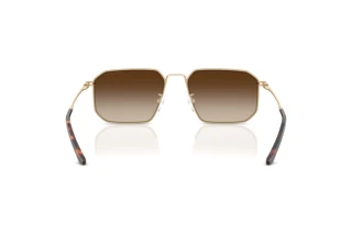 Bagside Emporio Armani EA2165D (300213)