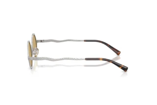 Sidevisning Emporio Armani EA2166 (3015/2)