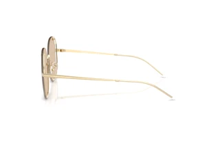 Sidevisning Emporio Armani EA2168 (301393)