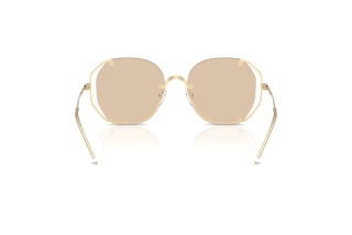 Bagside Emporio Armani EA2168 (301393)