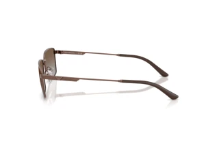 Sidevisning Emporio Armani EA2169 (300689)