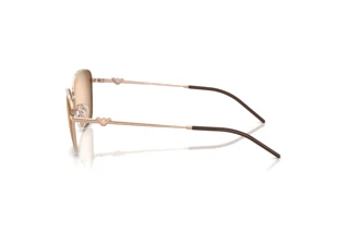 Sidevisning Emporio Armani EA2170 (301113)