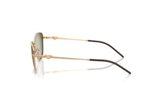 Sidevisning Emporio Armani EA2170 (342713)