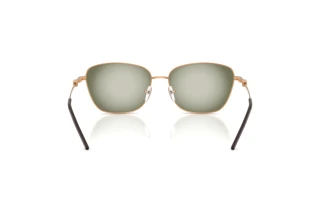 Bagside Emporio Armani EA2170 (342713)