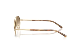 Sidevisning Emporio Armani EA2171 (300213)