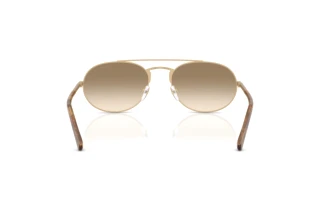 Bagside Emporio Armani EA2171 (300213)