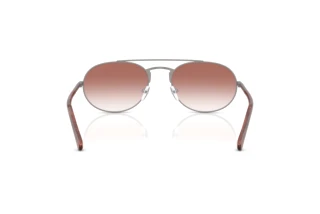 Bagside Emporio Armani EA2171 (30038D)