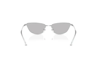 Bagside Emporio Armani EA2174B (301587)