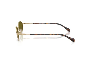 Sidevisning Emporio Armani EA2175 (3002/2)
